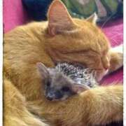 ヒメ日記 2026/01/09 01:23 投稿 体験なな ミセスコレクション