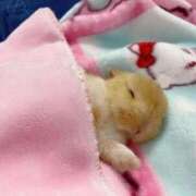 ヒメ日記 2026/01/10 00:59 投稿 体験なな ミセスコレクション