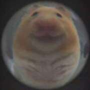 ヒメ日記 2026/01/10 01:03 投稿 体験なな ミセスコレクション