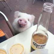 ヒメ日記 2026/01/10 01:14 投稿 体験なな ミセスコレクション