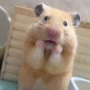 ヒメ日記 2026/01/10 19:53 投稿 体験なな ミセスコレクション