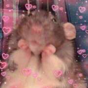 ヒメ日記 2026/01/11 00:53 投稿 体験なな ミセスコレクション