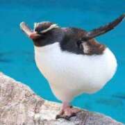 ヒメ日記 2026/01/11 08:13 投稿 体験なな ミセスコレクション