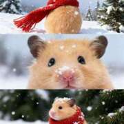 ヒメ日記 2026/01/12 08:13 投稿 体験なな ミセスコレクション