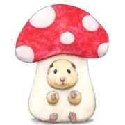 ヒメ日記 2026/01/12 22:54 投稿 体験なな ミセスコレクション