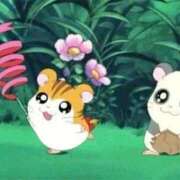 ヒメ日記 2026/01/14 08:13 投稿 体験なな ミセスコレクション