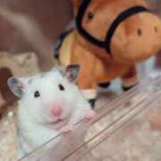 ヒメ日記 2026/01/15 12:06 投稿 体験なな ミセスコレクション