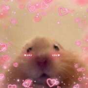 ヒメ日記 2026/01/16 01:53 投稿 体験なな ミセスコレクション