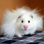 ヒメ日記 2026/01/16 08:13 投稿 体験なな ミセスコレクション