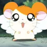 ヒメ日記 2026/01/17 01:43 投稿 体験なな ミセスコレクション