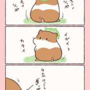 ヒメ日記 2026/01/17 08:13 投稿 体験なな ミセスコレクション