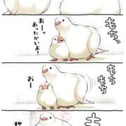 ヒメ日記 2026/01/17 12:07 投稿 体験なな ミセスコレクション