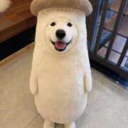 ヒメ日記 2026/01/19 12:20 投稿 体験なな ミセスコレクション