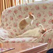 ヒメ日記 2026/01/19 20:23 投稿 体験なな ミセスコレクション