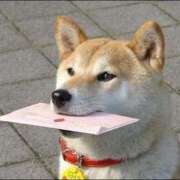 ヒメ日記 2026/01/19 23:43 投稿 体験なな ミセスコレクション