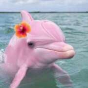 ヒメ日記 2026/01/20 08:13 投稿 体験なな ミセスコレクション