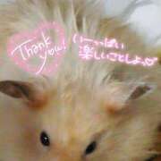 ヒメ日記 2026/01/21 08:13 投稿 体験なな ミセスコレクション