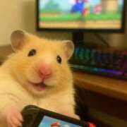 ヒメ日記 2026/01/23 01:23 投稿 体験なな ミセスコレクション