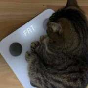 ヒメ日記 2026/01/23 01:53 投稿 体験なな ミセスコレクション