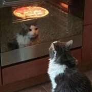 ヒメ日記 2026/01/24 12:07 投稿 体験なな ミセスコレクション