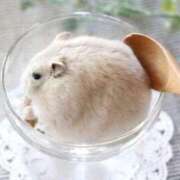 ヒメ日記 2026/01/26 12:21 投稿 体験なな ミセスコレクション