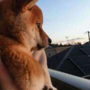 ヒメ日記 2026/01/27 08:13 投稿 体験なな ミセスコレクション