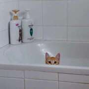 ヒメ日記 2026/01/28 20:10 投稿 体験なな ミセスコレクション