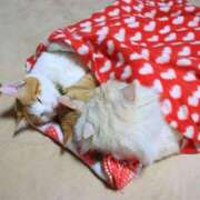 ヒメ日記 2026/01/30 08:13 投稿 体験なな ミセスコレクション