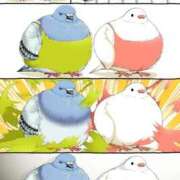 ヒメ日記 2026/01/30 12:08 投稿 体験なな ミセスコレクション