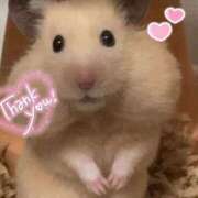 ヒメ日記 2026/01/30 12:33 投稿 体験なな ミセスコレクション