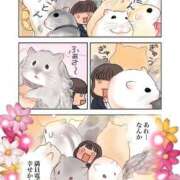 ヒメ日記 2026/02/02 08:13 投稿 体験なな ミセスコレクション