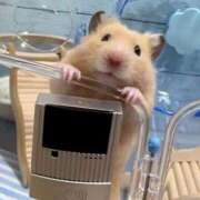 ヒメ日記 2026/02/03 20:33 投稿 体験なな ミセスコレクション