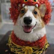 ヒメ日記 2026/02/03 23:33 投稿 体験なな ミセスコレクション