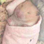 ヒメ日記 2026/02/04 08:03 投稿 体験なな ミセスコレクション