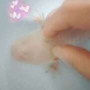 ヒメ日記 2026/02/05 08:13 投稿 体験なな ミセスコレクション