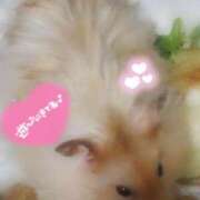 ヒメ日記 2026/02/06 12:23 投稿 体験なな ミセスコレクション