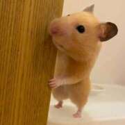 ヒメ日記 2026/02/07 02:23 投稿 体験なな ミセスコレクション