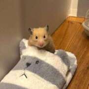 ヒメ日記 2026/02/07 02:53 投稿 体験なな ミセスコレクション