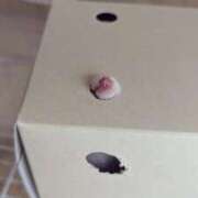 ヒメ日記 2026/02/09 08:13 投稿 体験なな ミセスコレクション