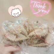 ヒメ日記 2026/02/10 00:13 投稿 体験なな ミセスコレクション