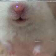 ヒメ日記 2026/02/10 23:23 投稿 体験なな ミセスコレクション