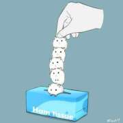 ヒメ日記 2026/02/12 12:08 投稿 体験なな ミセスコレクション