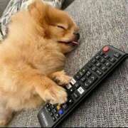 ヒメ日記 2026/02/13 00:42 投稿 体験なな ミセスコレクション