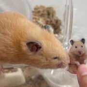 ヒメ日記 2026/02/13 08:13 投稿 体験なな ミセスコレクション