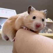 ヒメ日記 2026/02/14 08:03 投稿 体験なな ミセスコレクション