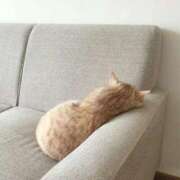 ヒメ日記 2026/02/16 08:16 投稿 体験なな ミセスコレクション