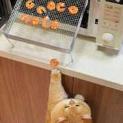 ヒメ日記 2026/02/16 12:18 投稿 体験なな ミセスコレクション