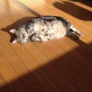 ヒメ日記 2026/02/18 08:03 投稿 体験なな ミセスコレクション