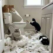 ヒメ日記 2026/02/18 12:06 投稿 体験なな ミセスコレクション