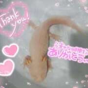 ヒメ日記 2026/02/19 02:23 投稿 体験なな ミセスコレクション